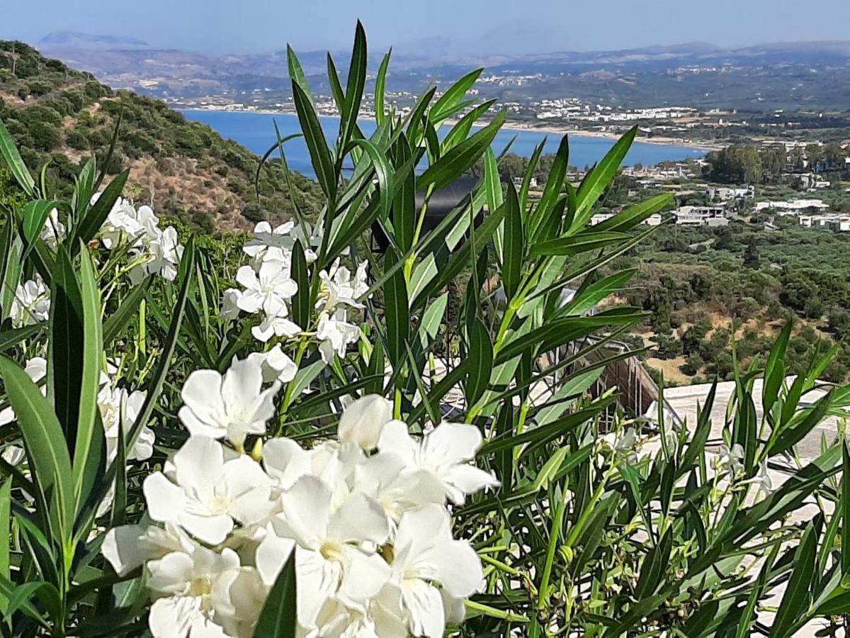 Aloe Villa Chania Crete Georgioupoli Zewnętrze zdjęcie