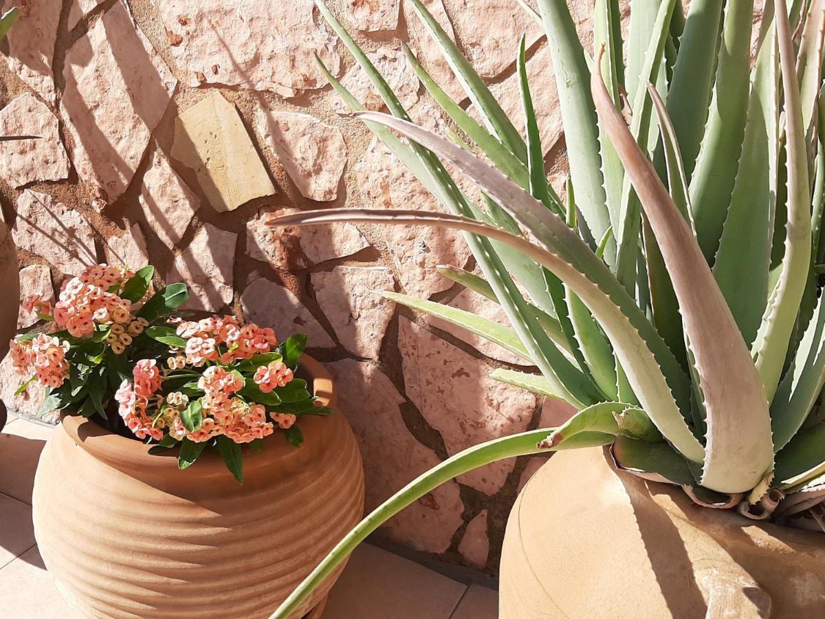 Aloe Villa Chania Crete Georgioupoli Zewnętrze zdjęcie