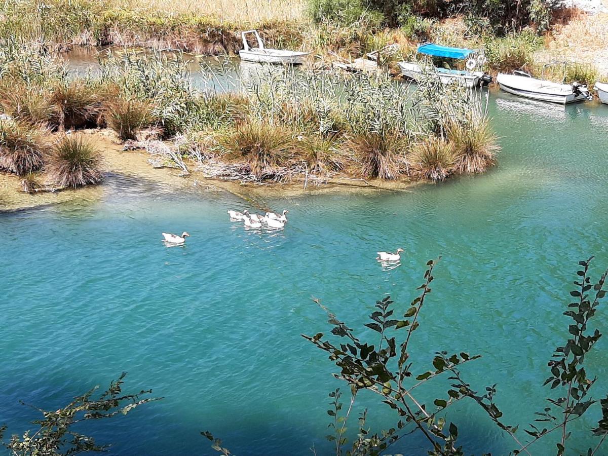 Aloe Villa Chania Crete Georgioupoli Zewnętrze zdjęcie