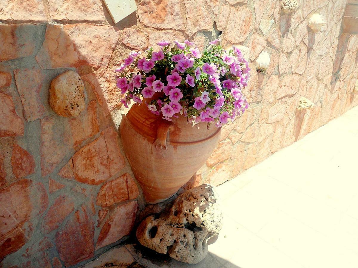 Aloe Villa Chania Crete Georgioupoli Zewnętrze zdjęcie